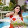 silk  sharee